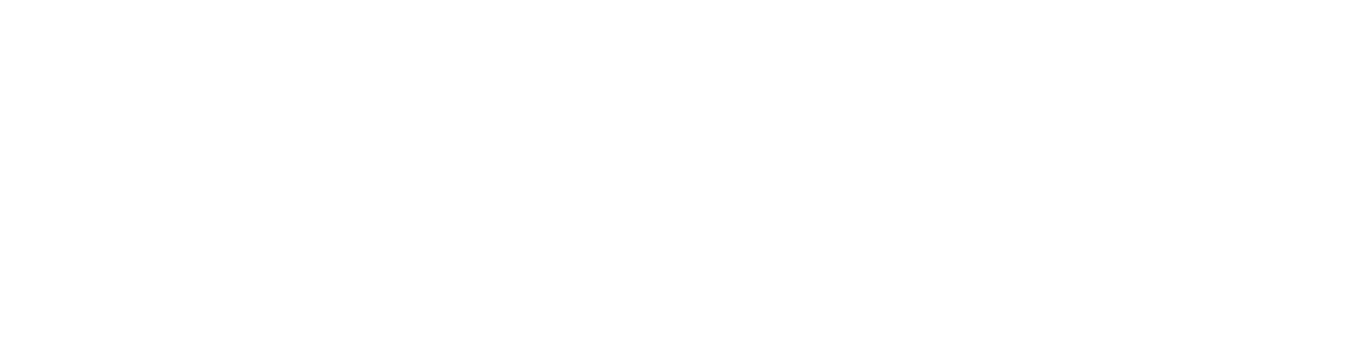 logo-payment